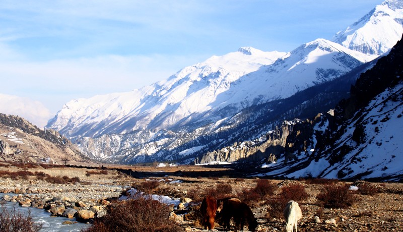 Annapurna Circuit Short Trek